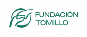 LOGOS FUNDACION TOMILLO-horizontal-positivo verde